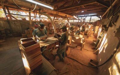 Studying For Trade Work: Tafe Or Private College?