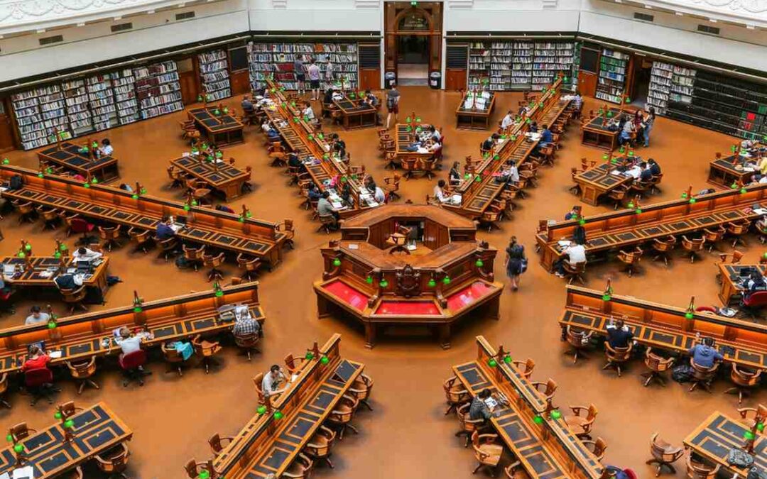 Educate to Migrate: Best 3 Courses in 2026