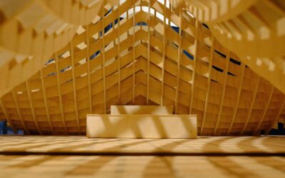 Your Carpentry Toolkit: 101 Things To Know Before Studying Or Working In Australia