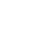 Home Icon