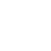 Visa Icon
