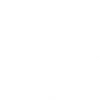 Wheel Icon